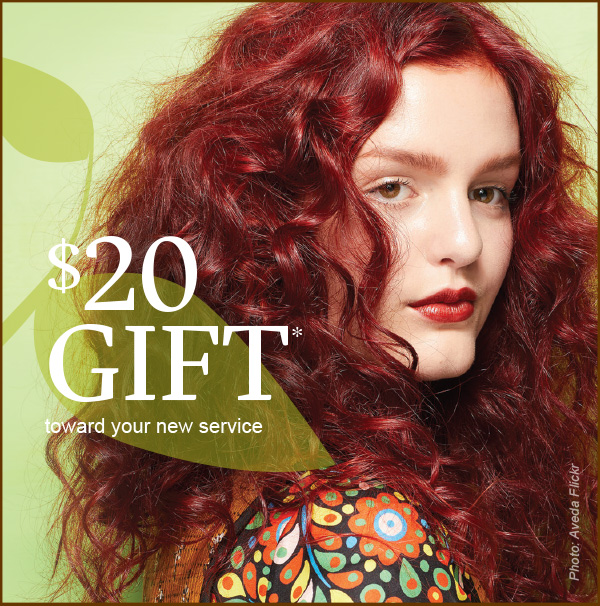 $20 Gift toward your new service